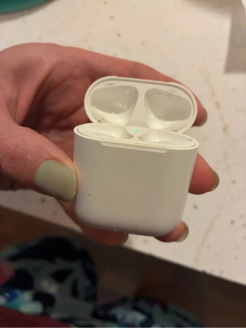 Apple White Earbud Headphones Charging Case